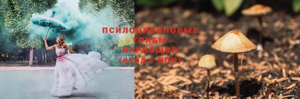 стаф Абаза