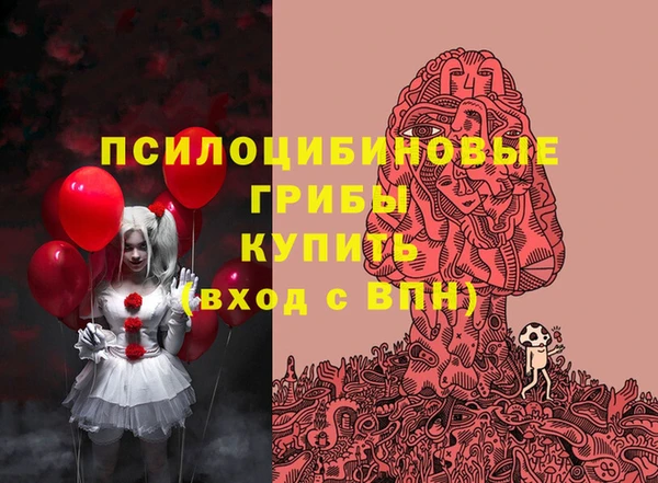 гашик Алзамай