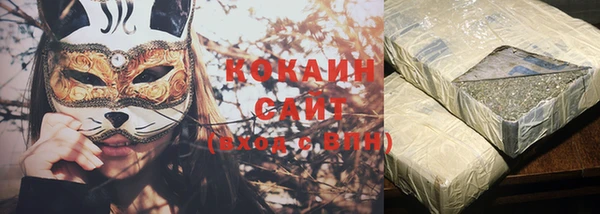 гашик Алзамай