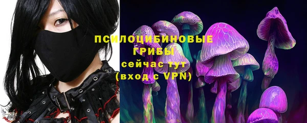 прущие крисы Алексеевка