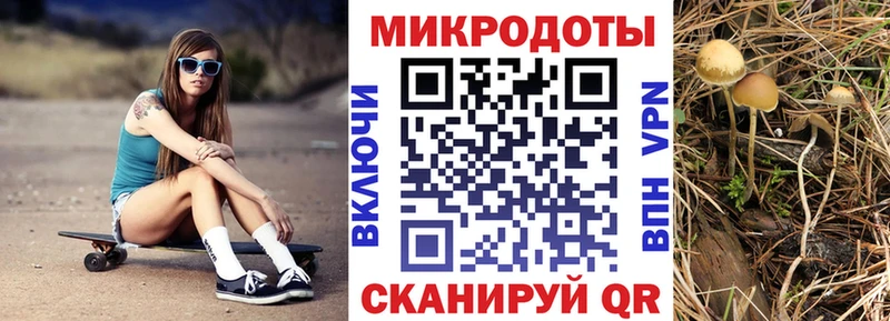 Псилоцибиновые грибы Psilocybine cubensis Батайск